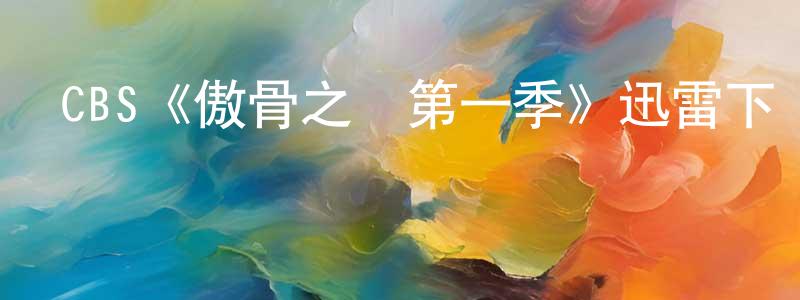 陳根來發布CBS《傲骨之戰第一季》迅雷下載/在線觀看/百度云-都市/情感-美劇天堂